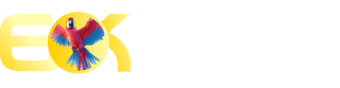 Plinko online - 789g
